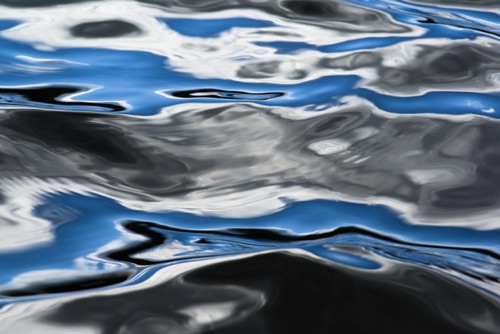 Water Detail, Upland Pond, Sussex County, NJ 09 07 (6972SA).jpg Water Detail, Upland Pond, Sussex County, NJ 09 07 (6972SA).jpg